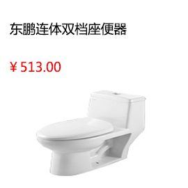 六安雷邦仕屋頂防水補(bǔ)漏材料