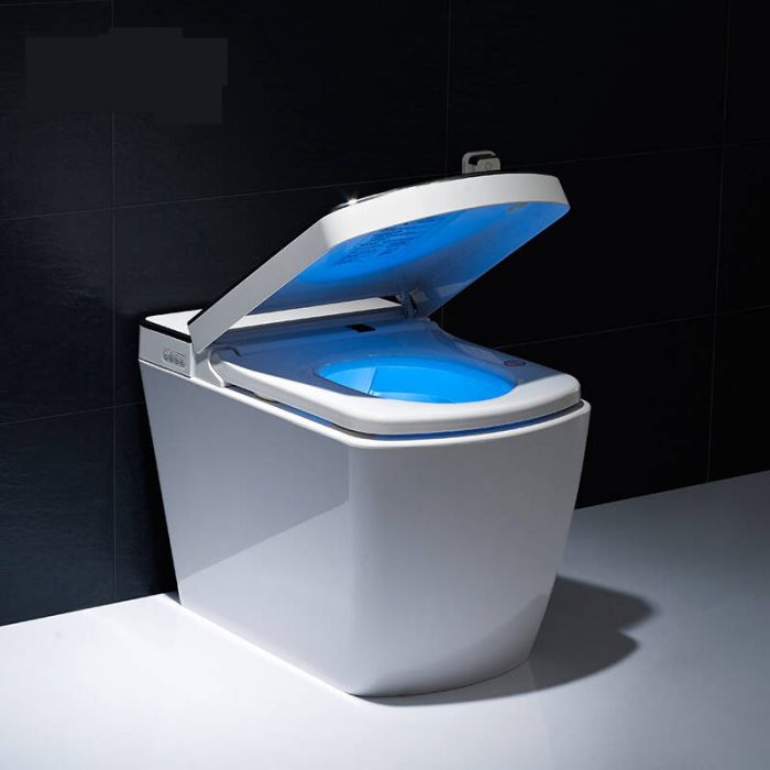 六安坐便器管道內(nèi)全拋釉